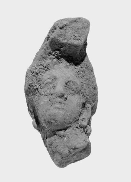 Unknown, Head with Lampadion Knot Projected Forward (Mistake)