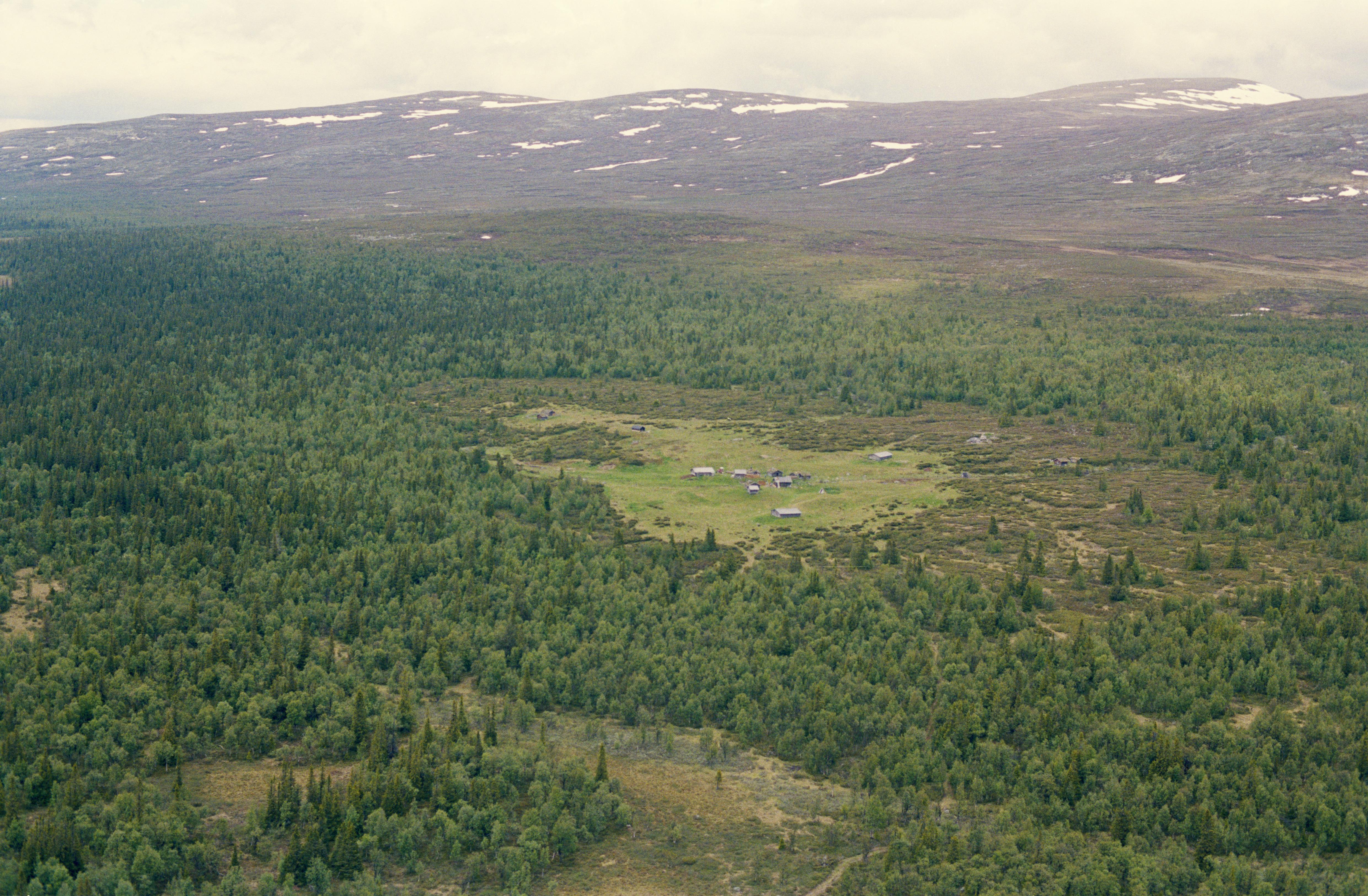 Jan Norrman, Öster-Arådalen