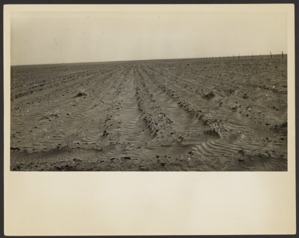 Dorothea Lange, [Furrows, Mills, New Mexico]