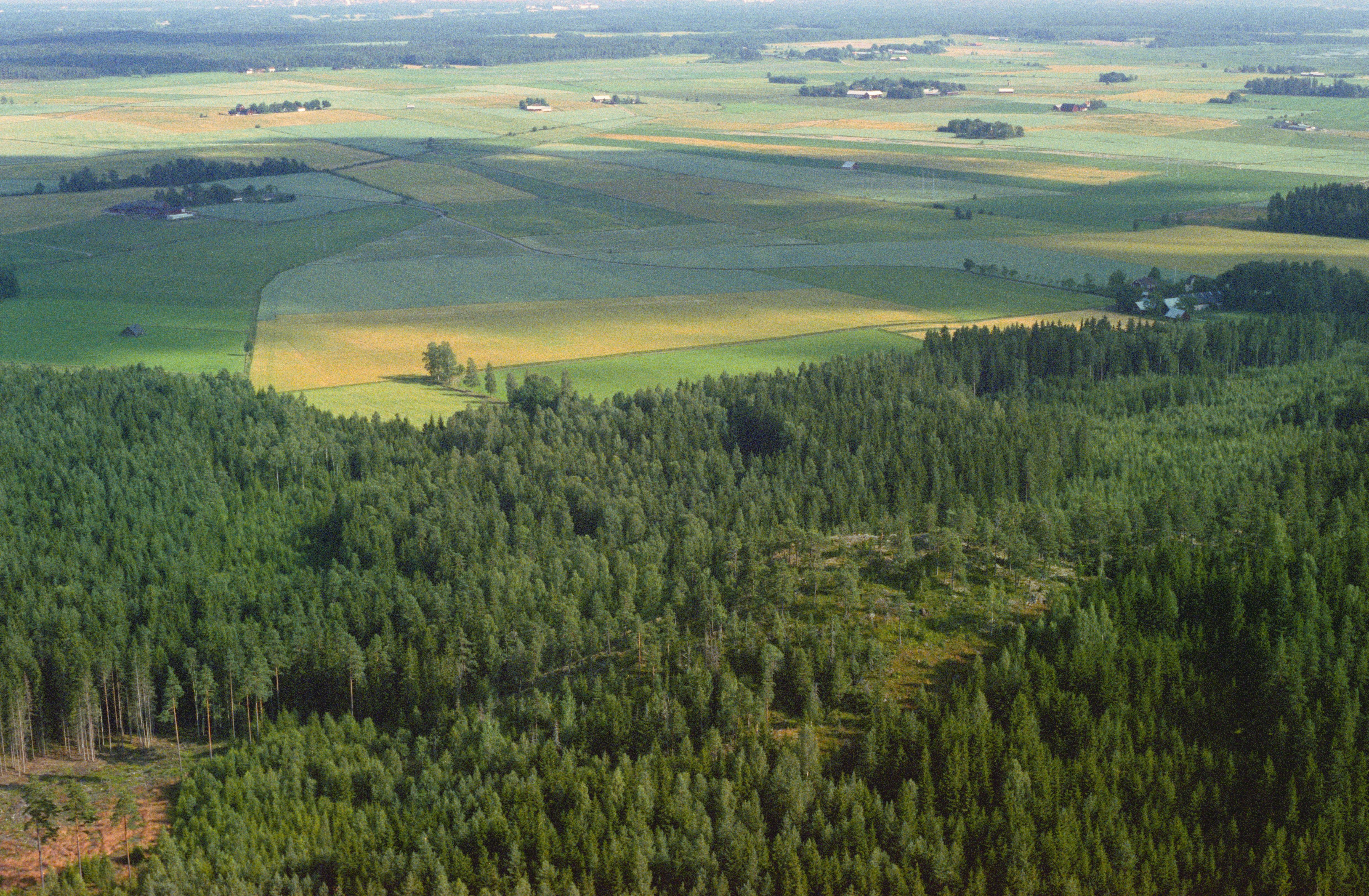 Jan Norrman, Kil 47:1