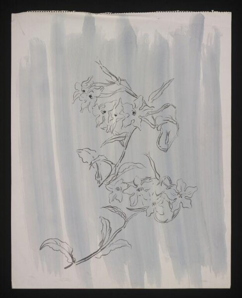 Beaton, Cecil (Sir), Drawing