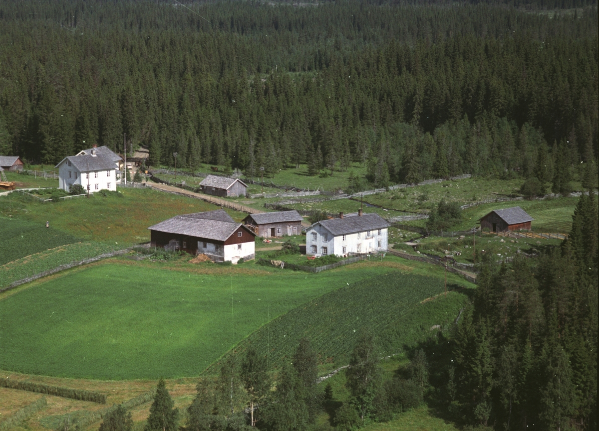 Widerøes Flyveselskap A/S, Flyfoto, Bergundhaugen søndre, Ringsaker.