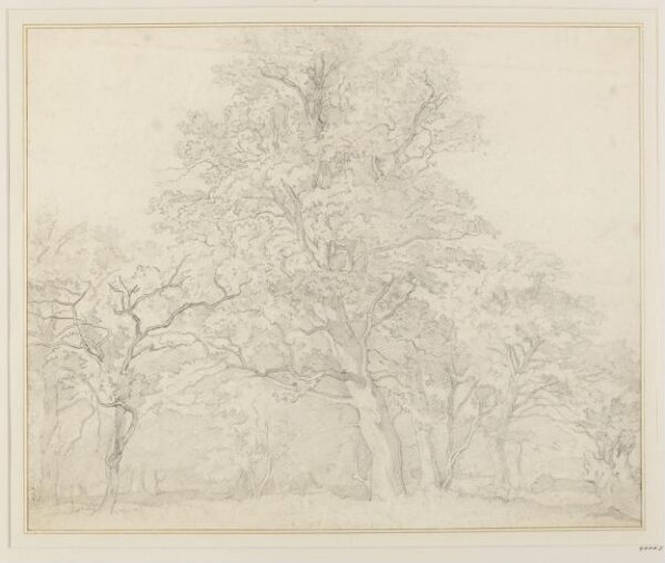 Unknown, Drawing