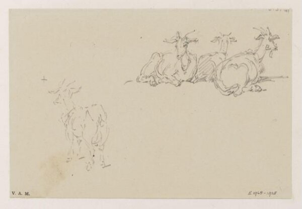 George Chinnery, Studies of goats