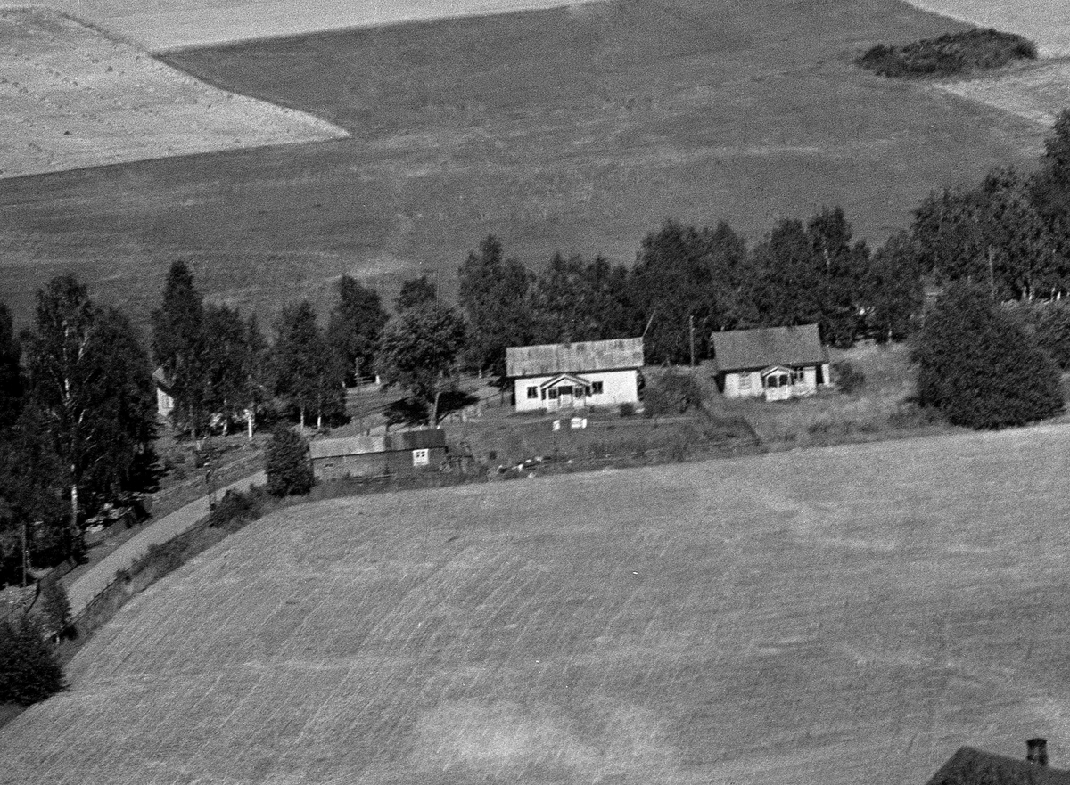 Anno Domkirkeodden, 0415-00835