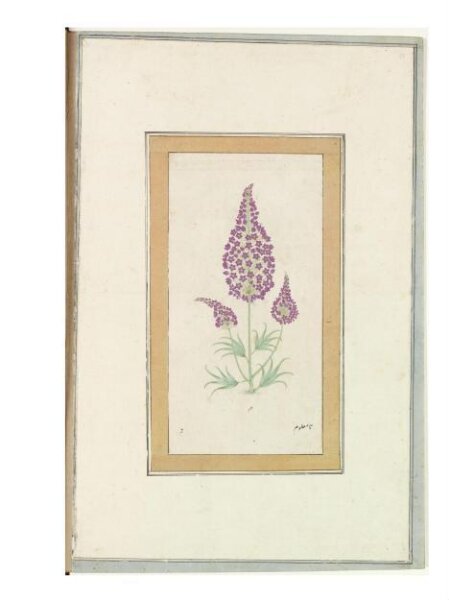 Unknown, Painting
