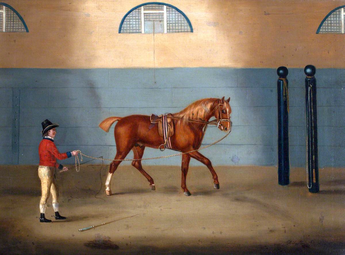 Francis Sartorius, A Chestnut Horse on a Lunge