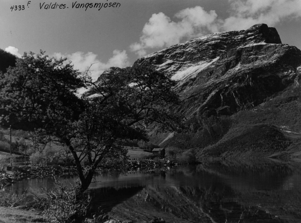 Anders Beer Wilse, Landskap Vangsmjosi Valdres