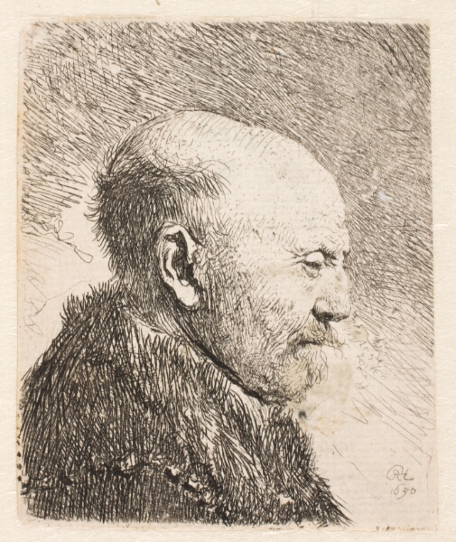 Rembrandt van Rijn, Skaldet mand i profil (Rembrandts fader?)