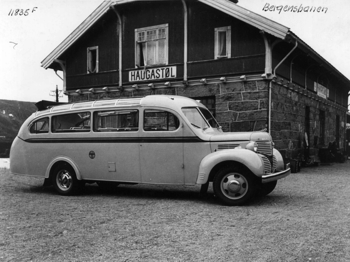 Anders Beer Wilse, Haugastøl Stasjon, Samferdsel, Jernbane, Buss