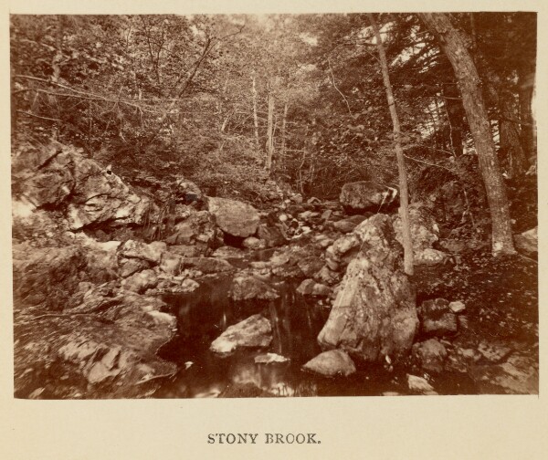 Thomas Lewis, Stony Brook