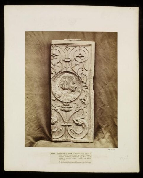 unknown, Photograph