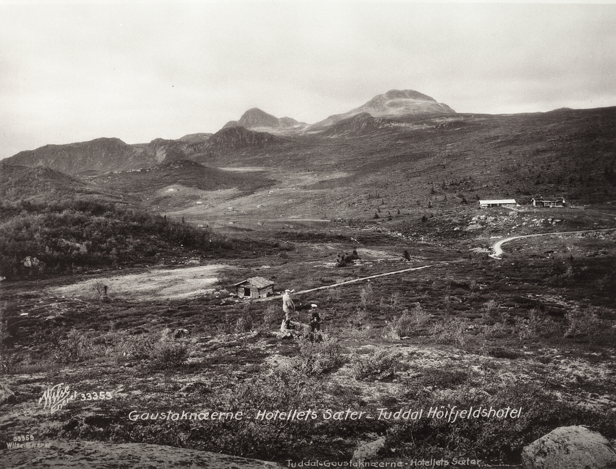 Anders Beer Wilse, Prot: Telemark - Tuddal, Makketjøn med Gaustaknæerne
