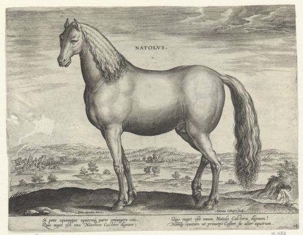 Collaert, Adriaen, (-1618), (printmaker), The stable of Don Juan of Austria: Natolus