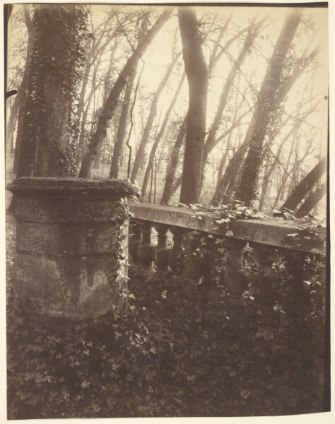 Eugène Atget, Saint-Cloud Park, Paris