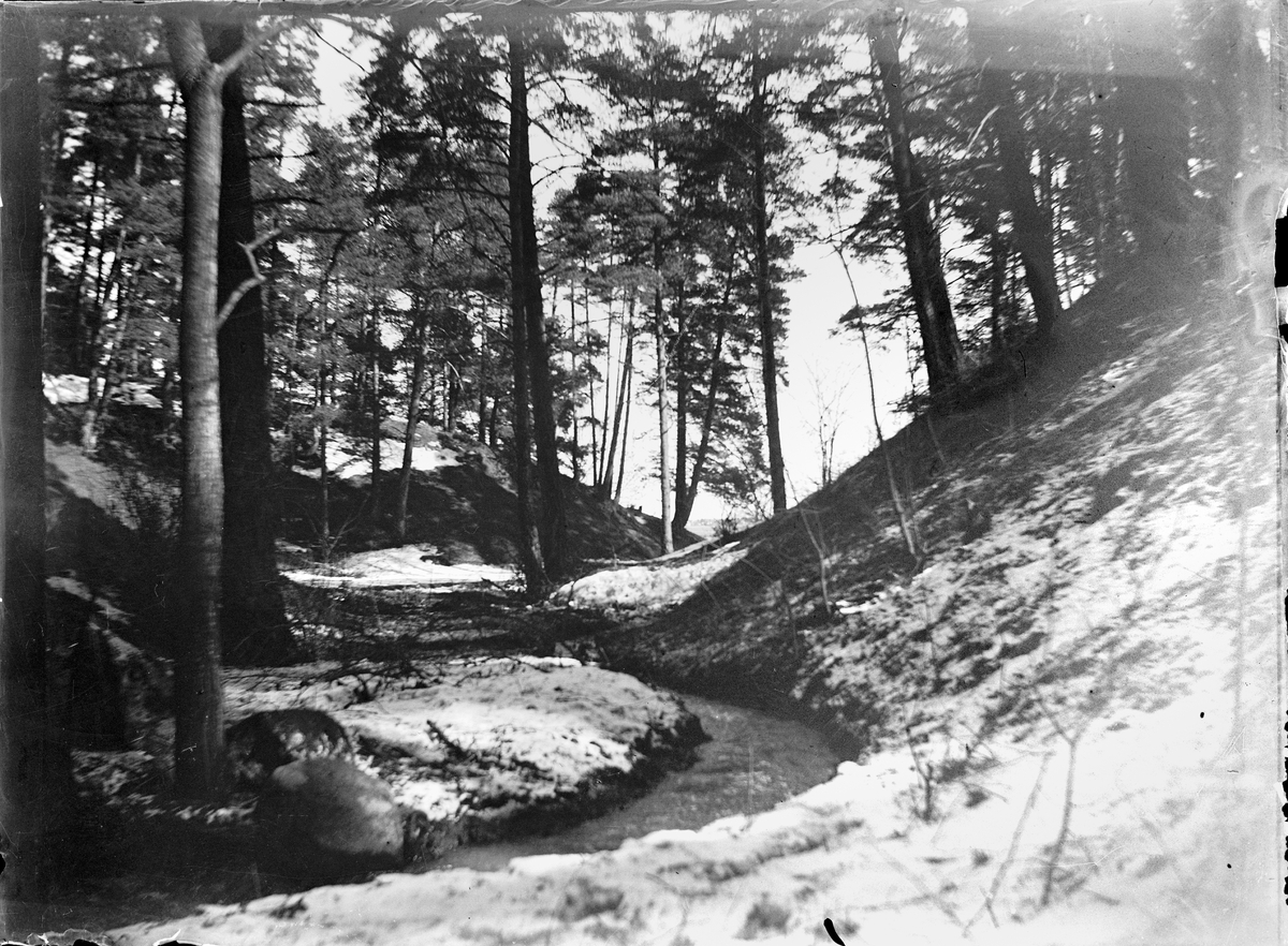 Carl Liljefors, Geijersdalen, Uppsala