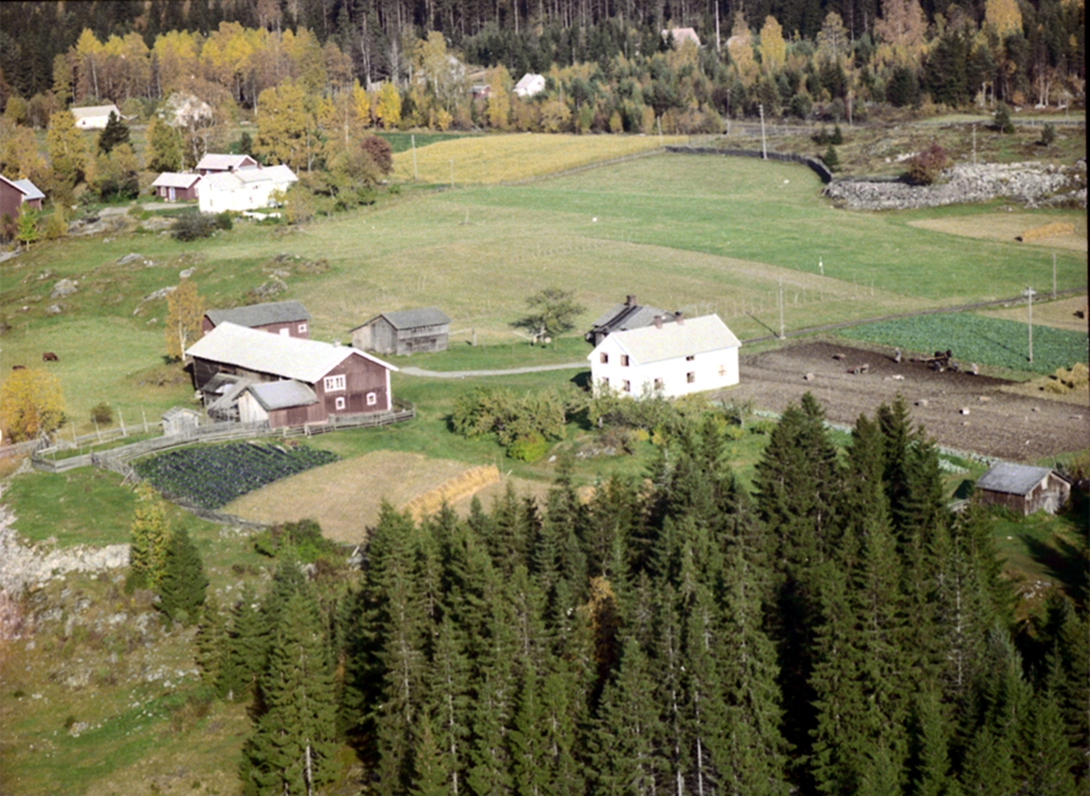 Widerøes Flyveselskap A/S, FLYFOTO KLAFSTAD STORE, ÅSVANG