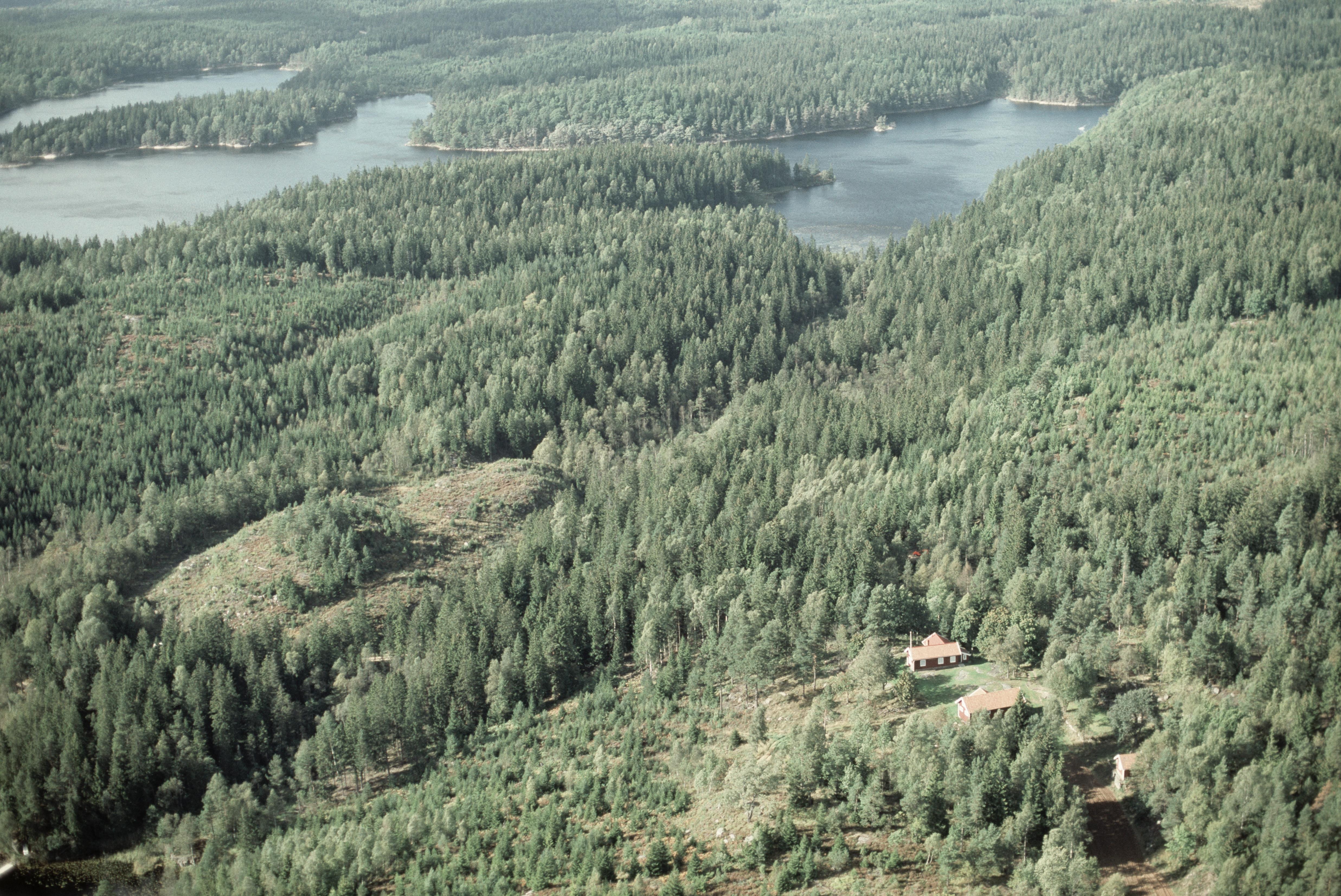 Jan Norrman, Bredfjället