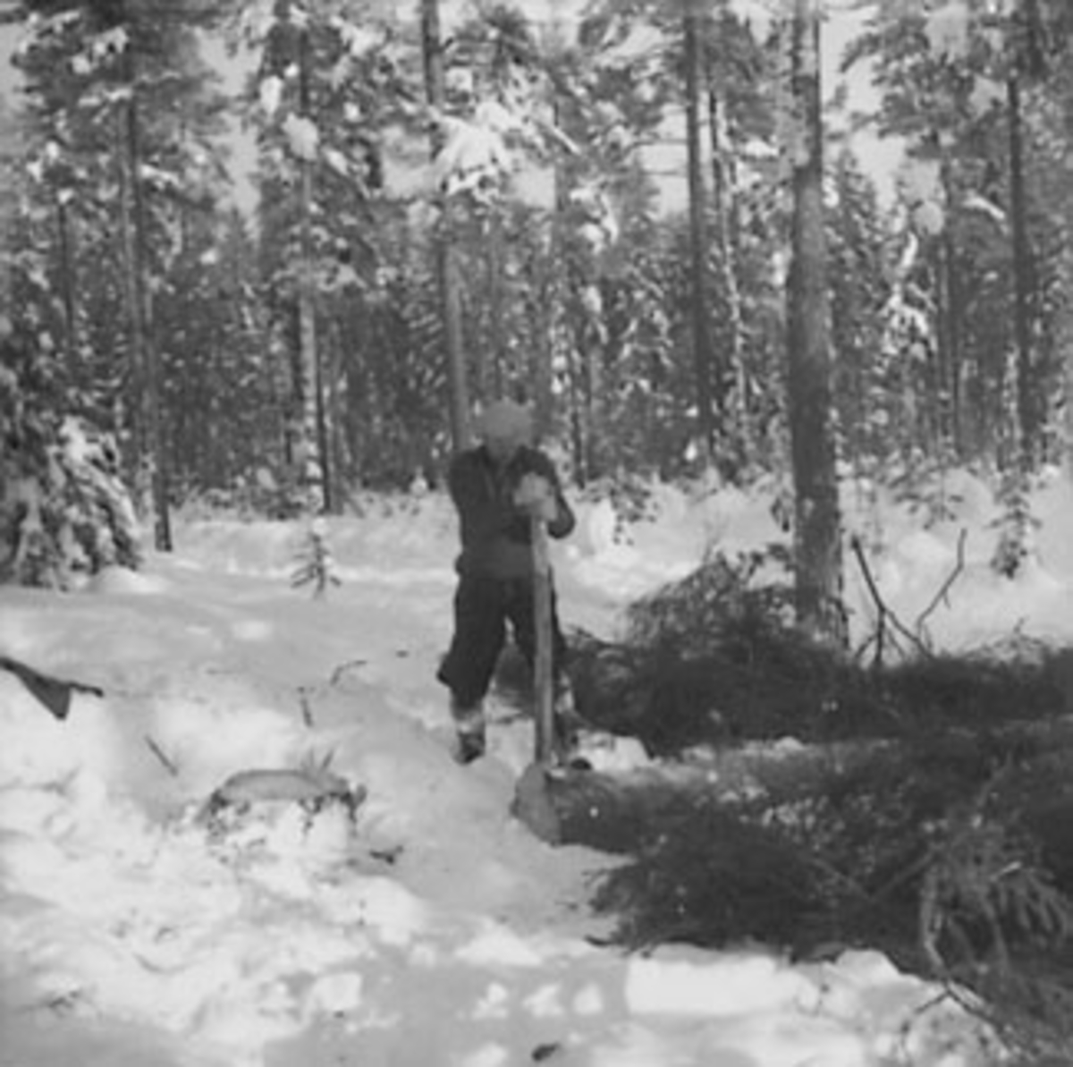 Anno Domkirkeodden, TØMMERHUGGING, SKOGBRUK, TØMMERHUGGER, VINTER, STANGE