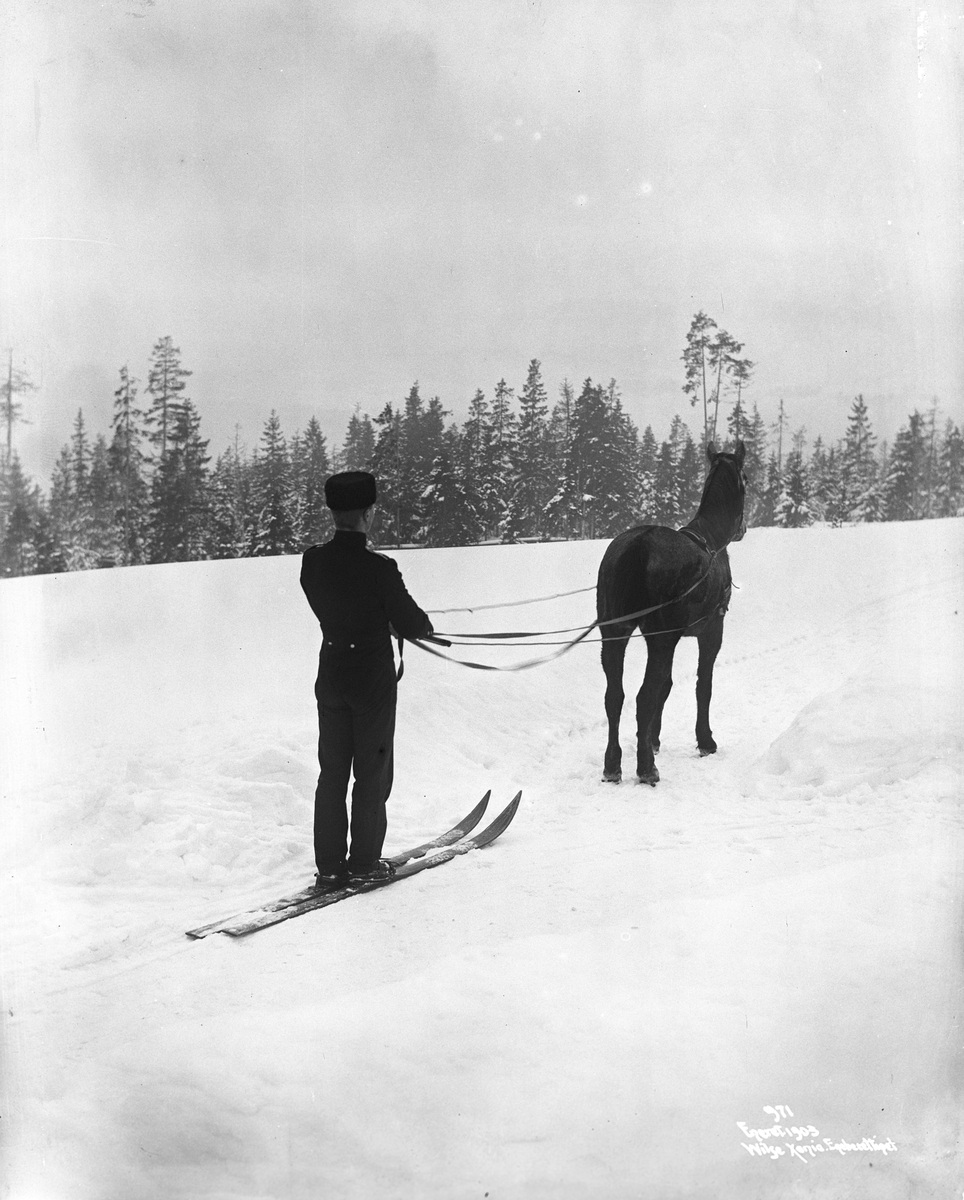 Anders Beer Wilse, Prot: Snørekjøring Kadet Haneborg bakfra Jan.1903