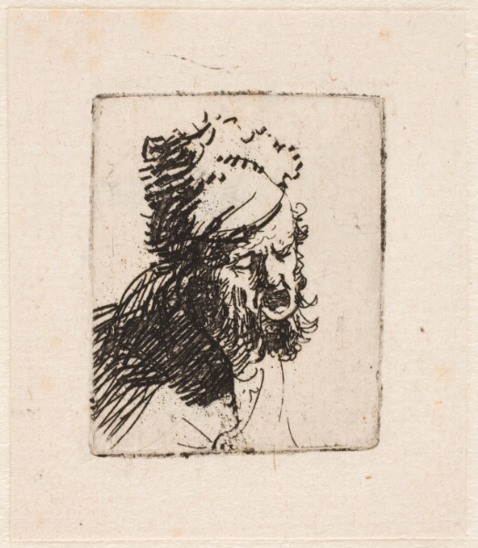 Rembrandt van Rijn, Hoved af råbende mand med pelshue