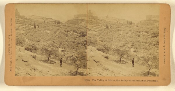 Benjamin West Kilburn, The Valley of Olives, the Valley of Jehosaphat, Palestine.