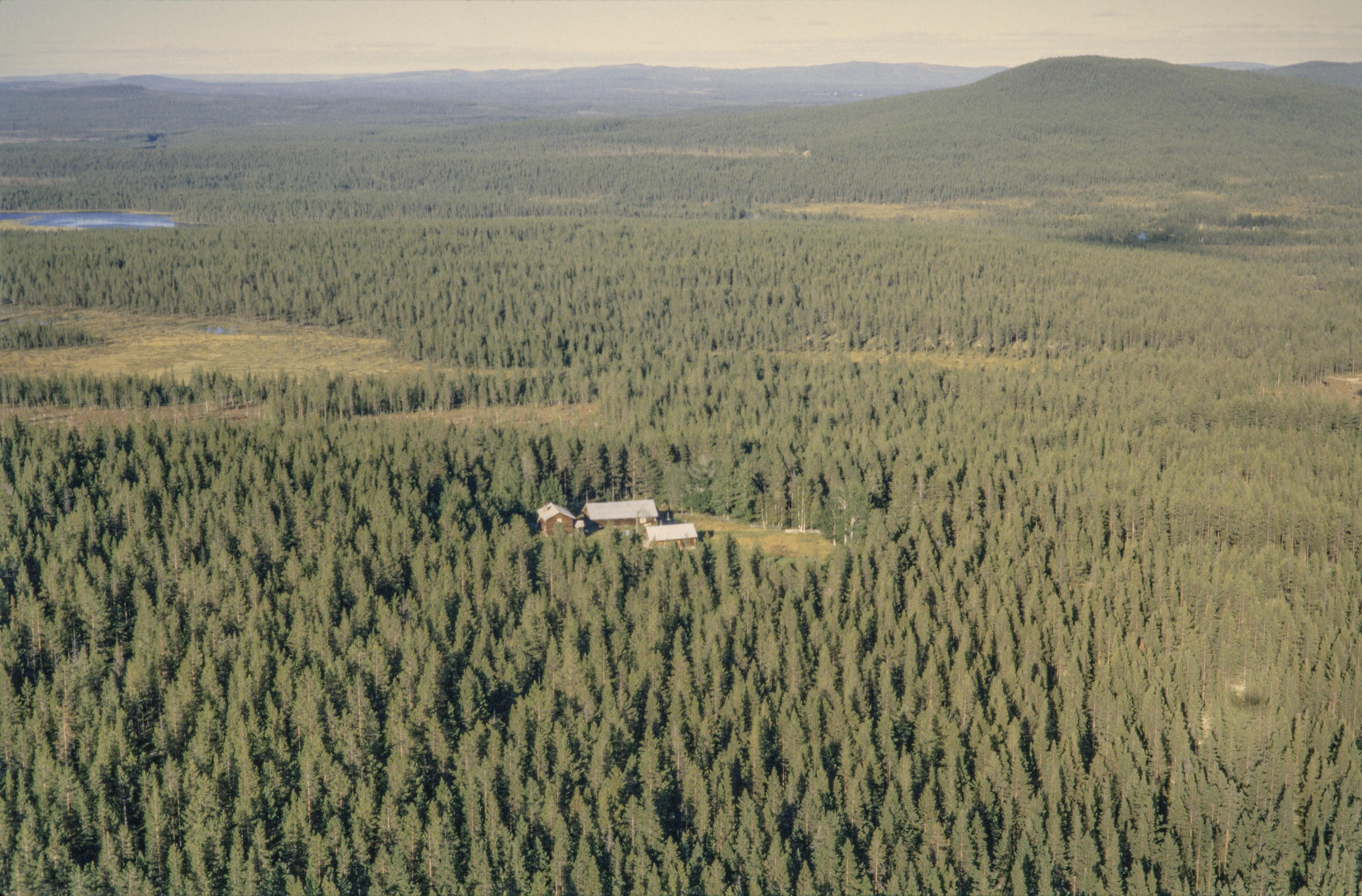 Jan Norrman, Dödåsen