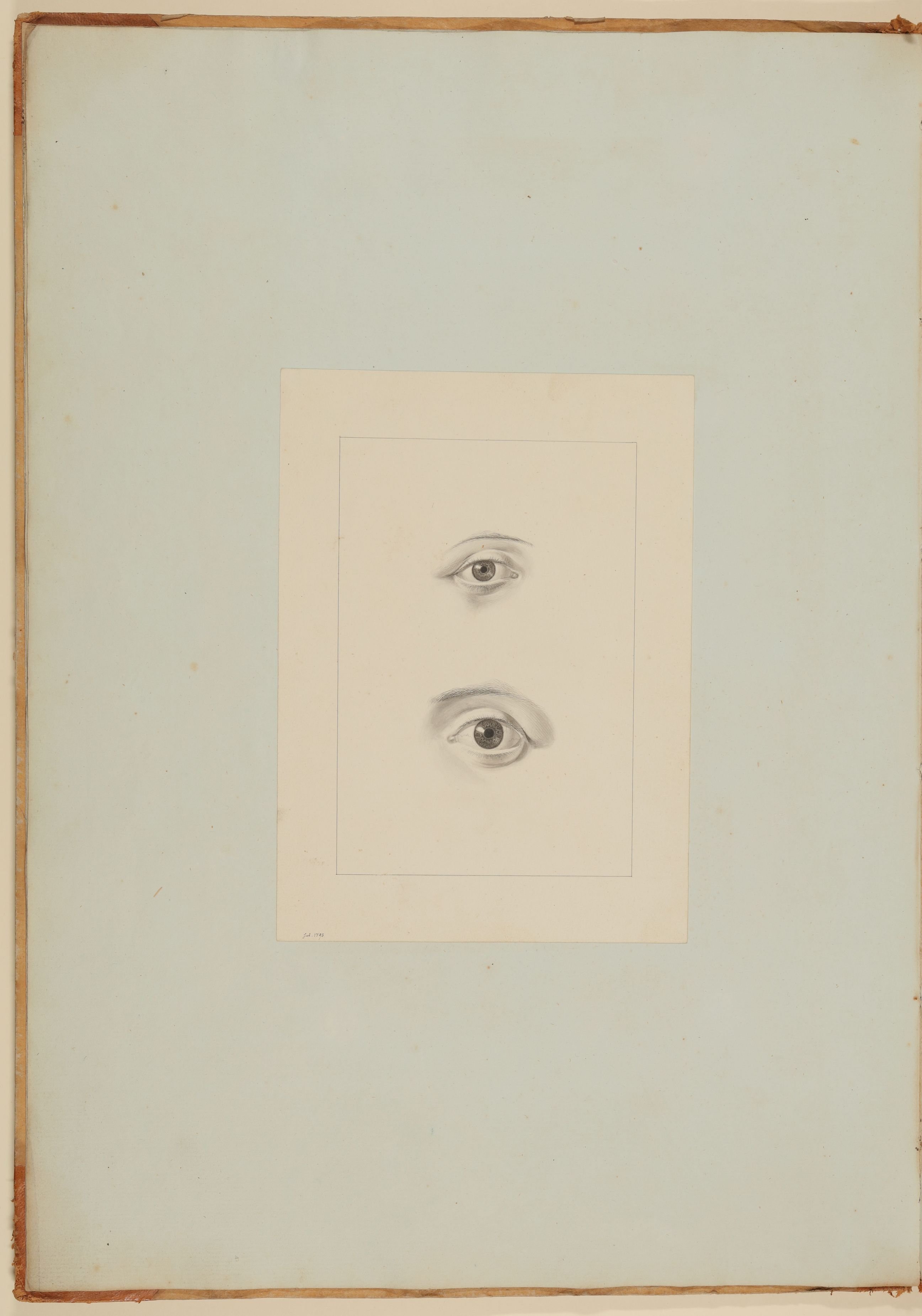 Christian Koeck, Das Auge einer Europäerin von zwanzig Jahren und das Auge eines männlichen Europäers von mittlerem Alter [Vorzeichnung zu Samuel Thomas Soemmerring, Abbildungen des menschlichen Auges, Frankfurt am Main 1801, Tafel I ("schattierte" Darstellung), Fig. 3 und Fig. 1]