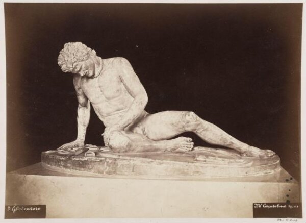 unknown, Photograph