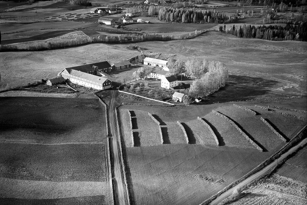 Widerøes Flyveselskap A/S, FLYFOTO HAFSAL