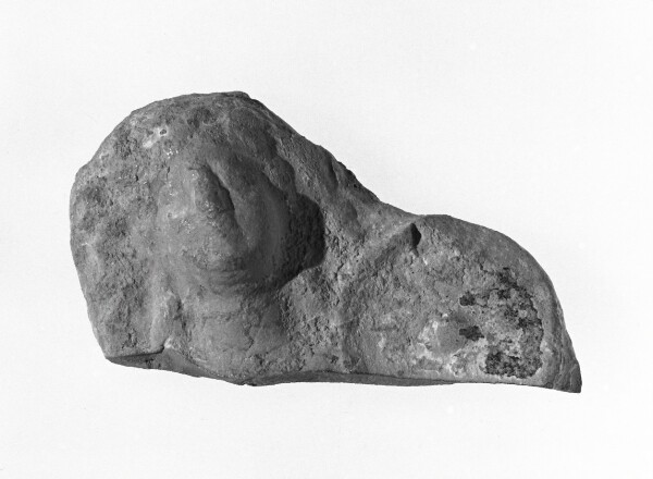 Unknown, Female Head