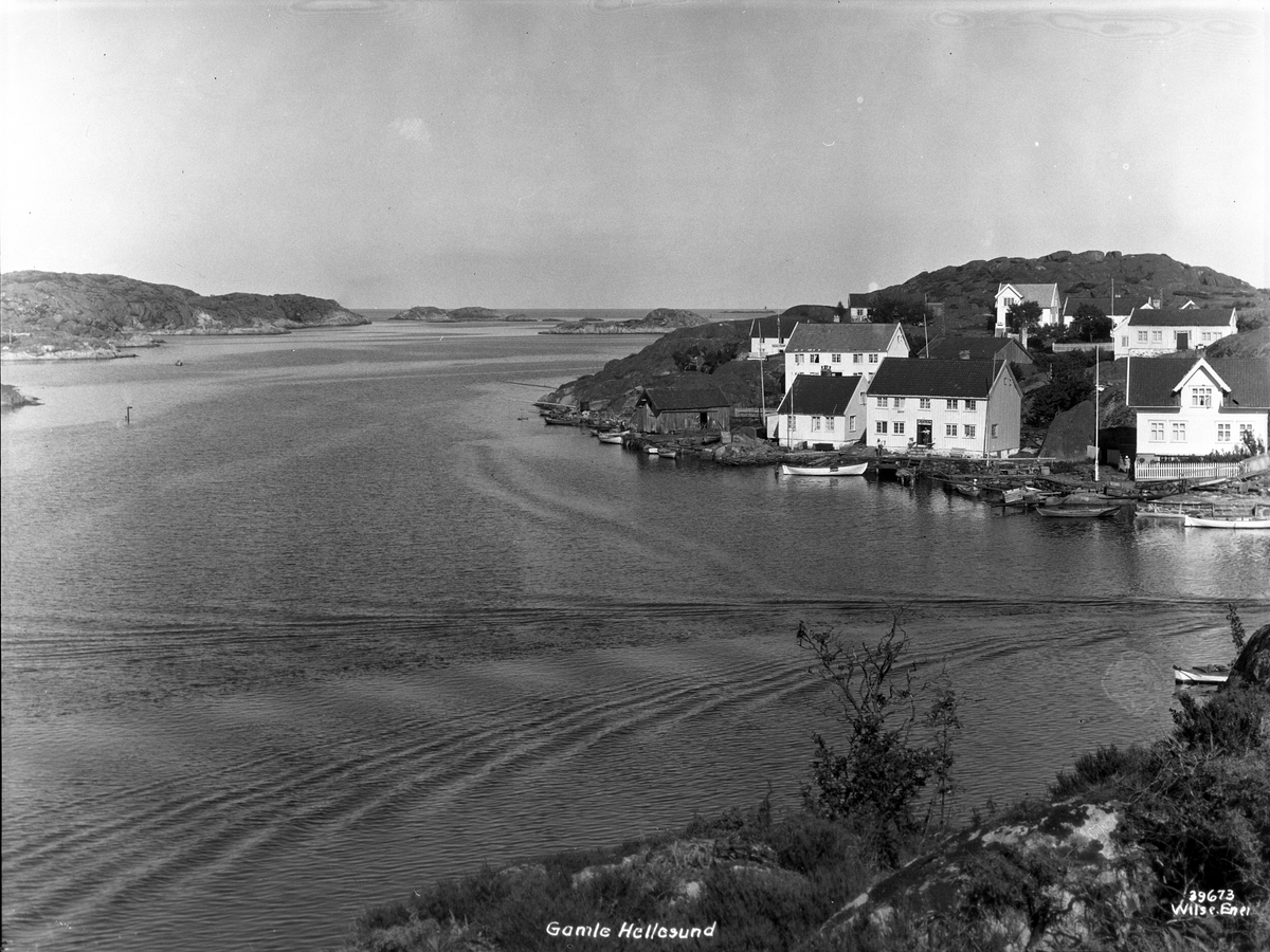 Anders Beer Wilse, Prot: Hellesund gamle