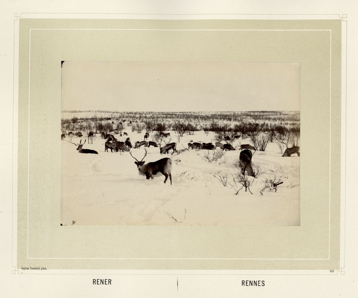 Sophus Tromholt, Billeder fra Lappernes Land/Tableaux du Pays des Lapons