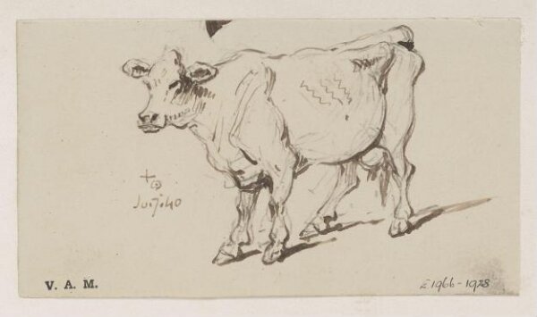 George Chinnery, A standing cow