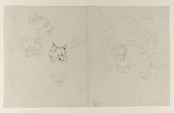 Potter, Beatrix, drawing