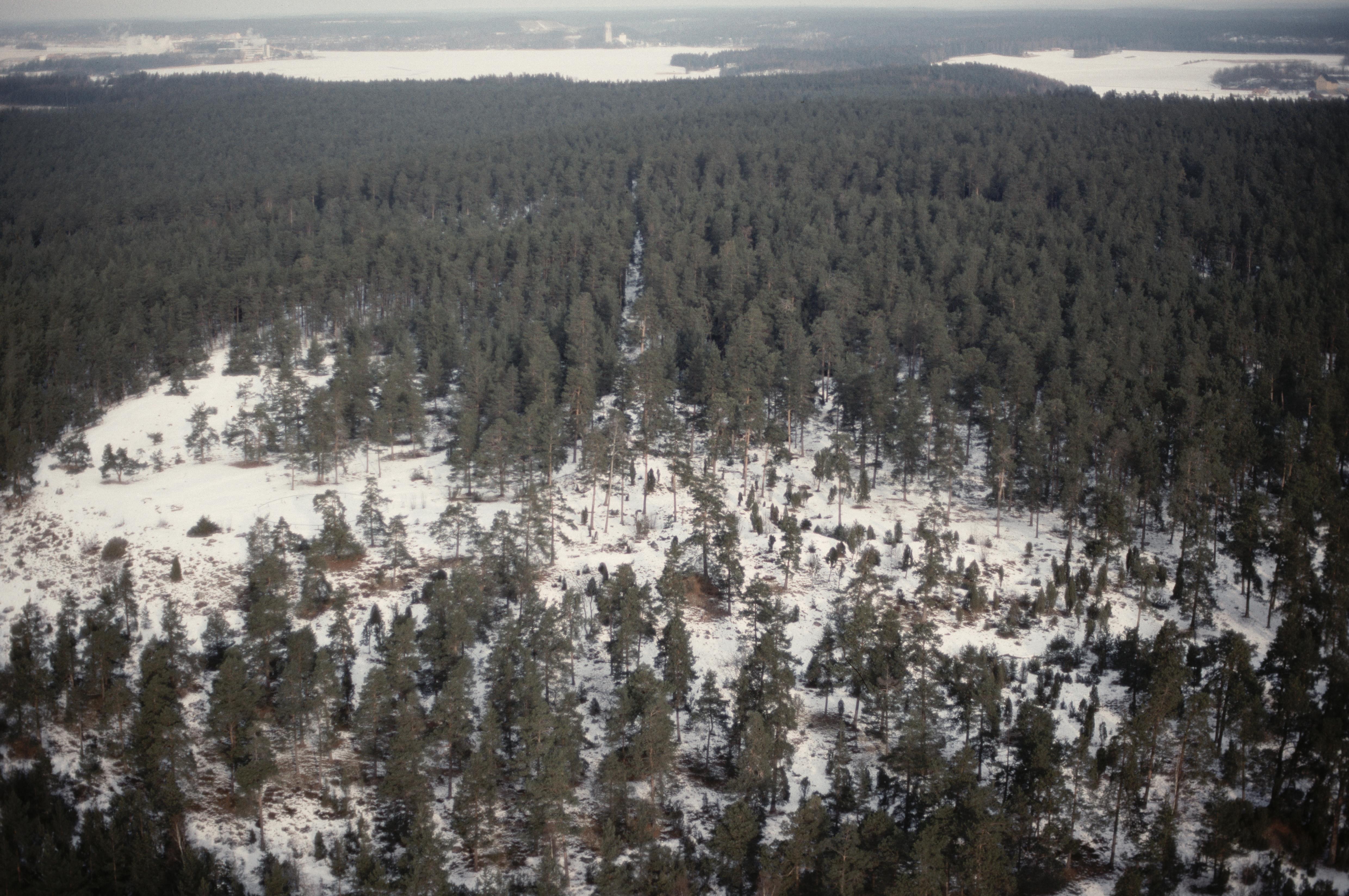 Jan Norrman, Låssa 24:1
