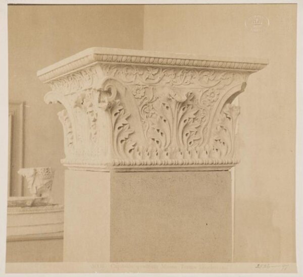 unknown, Photograph