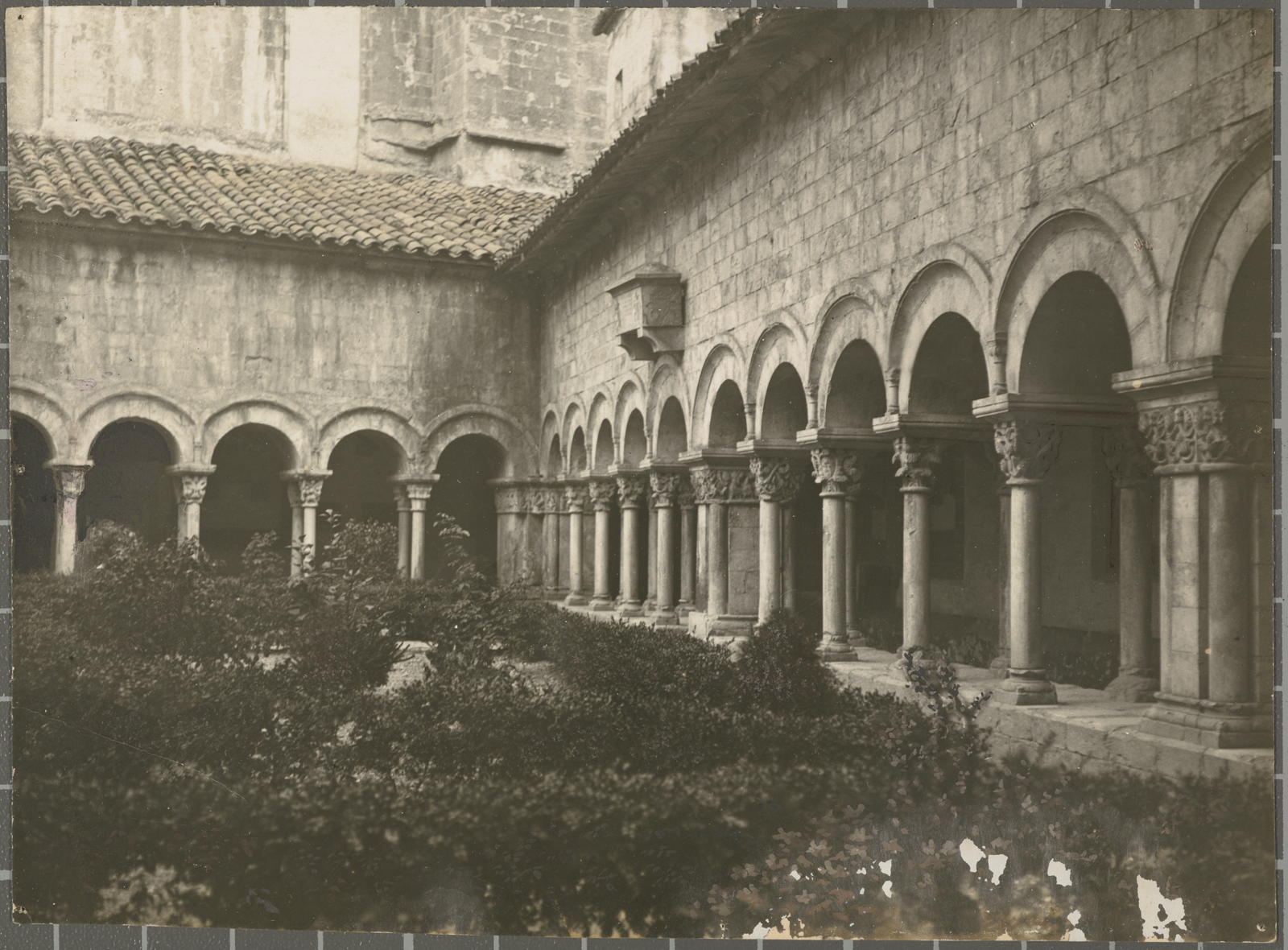 Desconegut, [Claustre de la Catedral]