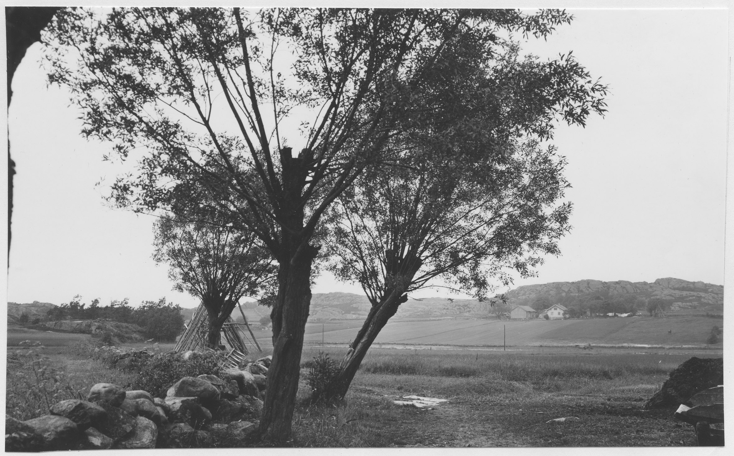 Mårten Sjöbeck, Tjörn