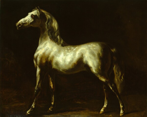 after Théodore Gericault, Gray Stallion