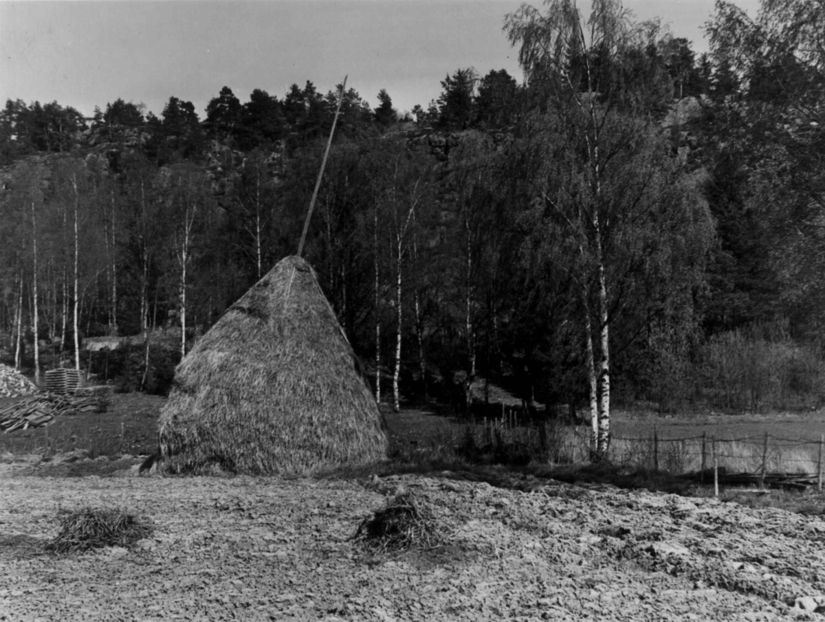 Anders Beer Wilse, Høystakk
