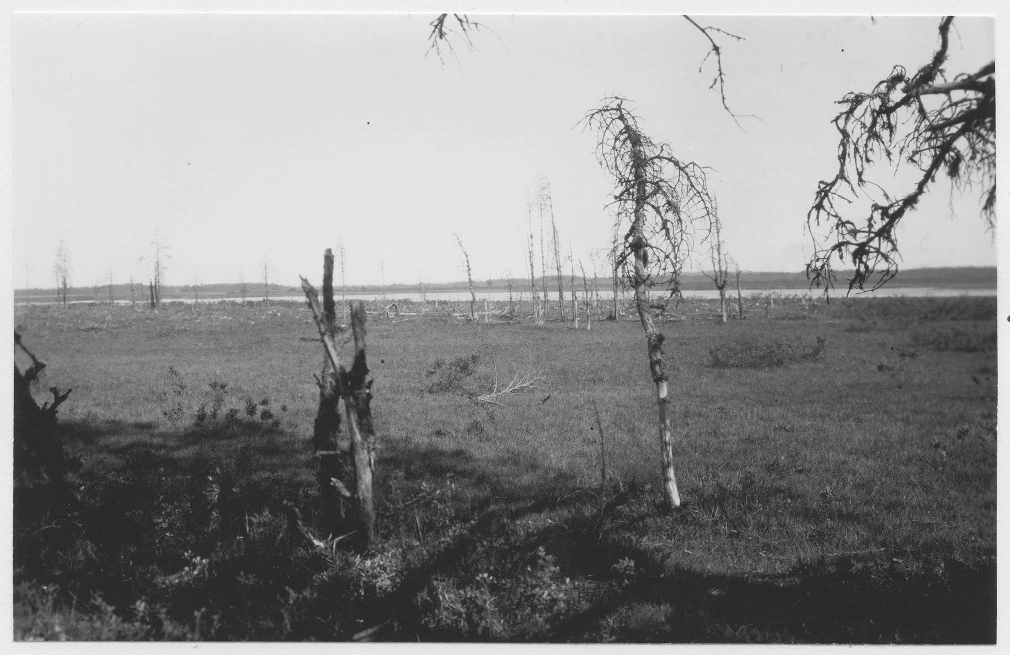 Mårten Sjöbeck, Store Mossen