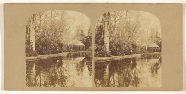 Unknown, Scene in Whiteknights, near Reading. (This Estate was for many years the favourite residence of the late Duke of Marlborough.)
