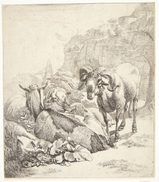 Johann Heinrich Roos, Stående vædder, liggende ged og to får