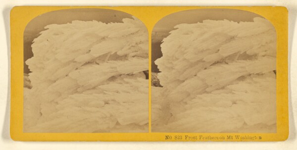 Benjamin West Kilburn, Frost Feathers on Mt. Washington