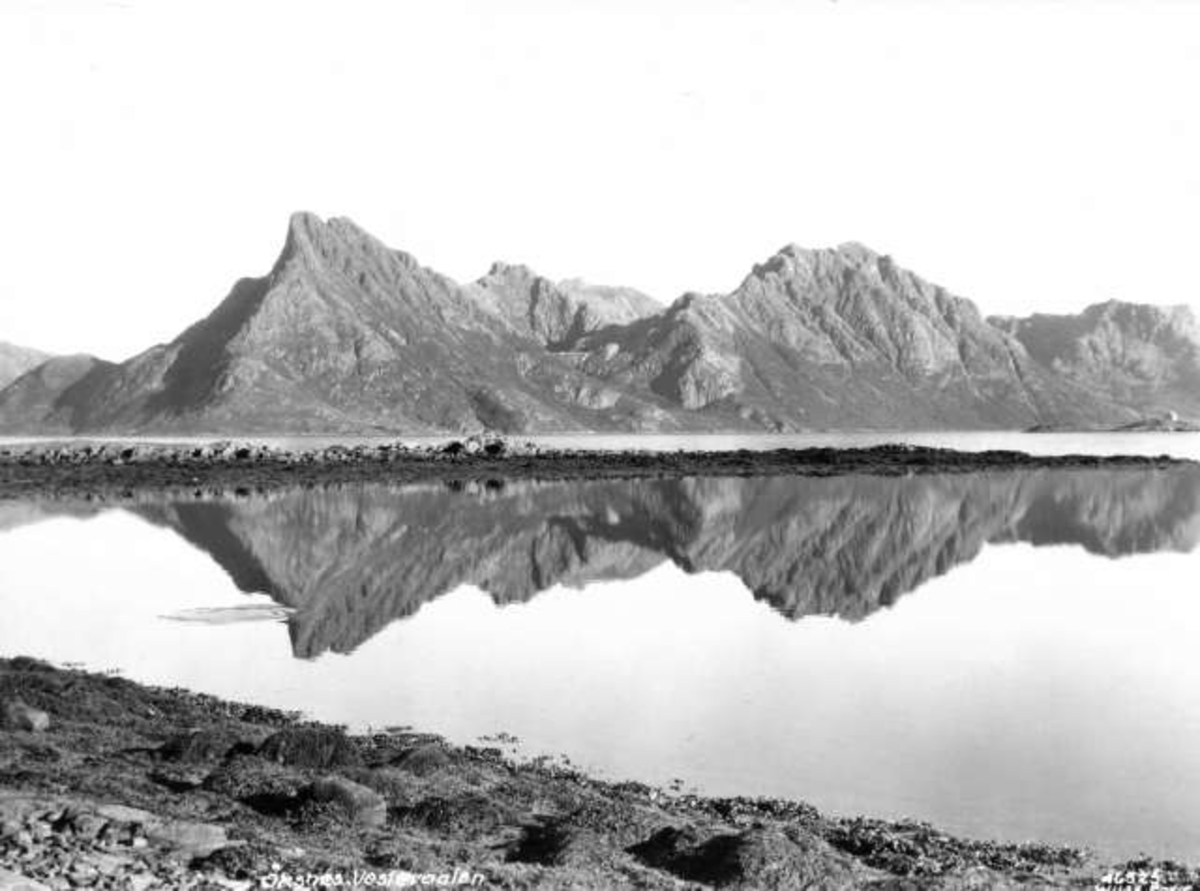 Anders Beer Wilse, -5920