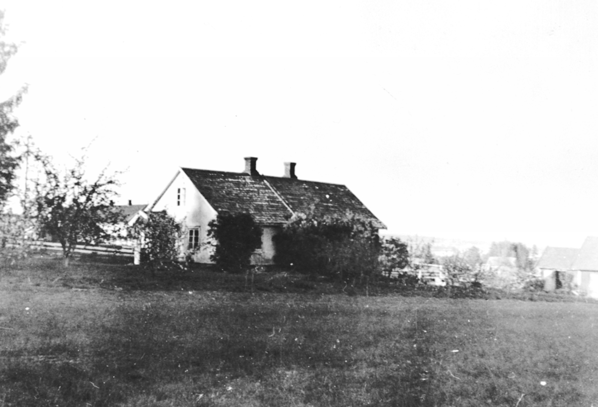 Anno Domkirkeodden, Nylendet, Nes, Hedmark. Tidligere husmannsplass under prestegarden på Nes.