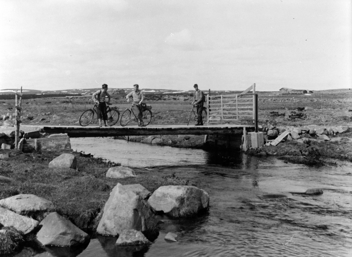 Anno Domkirkeodden, Skollbrua ved Nyskolla, fra venstre er Einar Demmen, Arne Dehlie, Baardseth, 10-6-1935.
