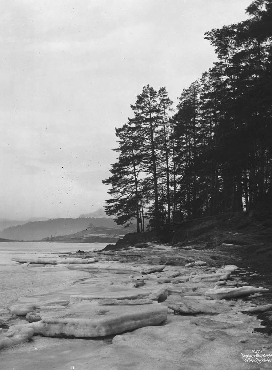 Anders Beer Wilse, Prot: Vinter - Strandparti Bygdø 25/1 1906