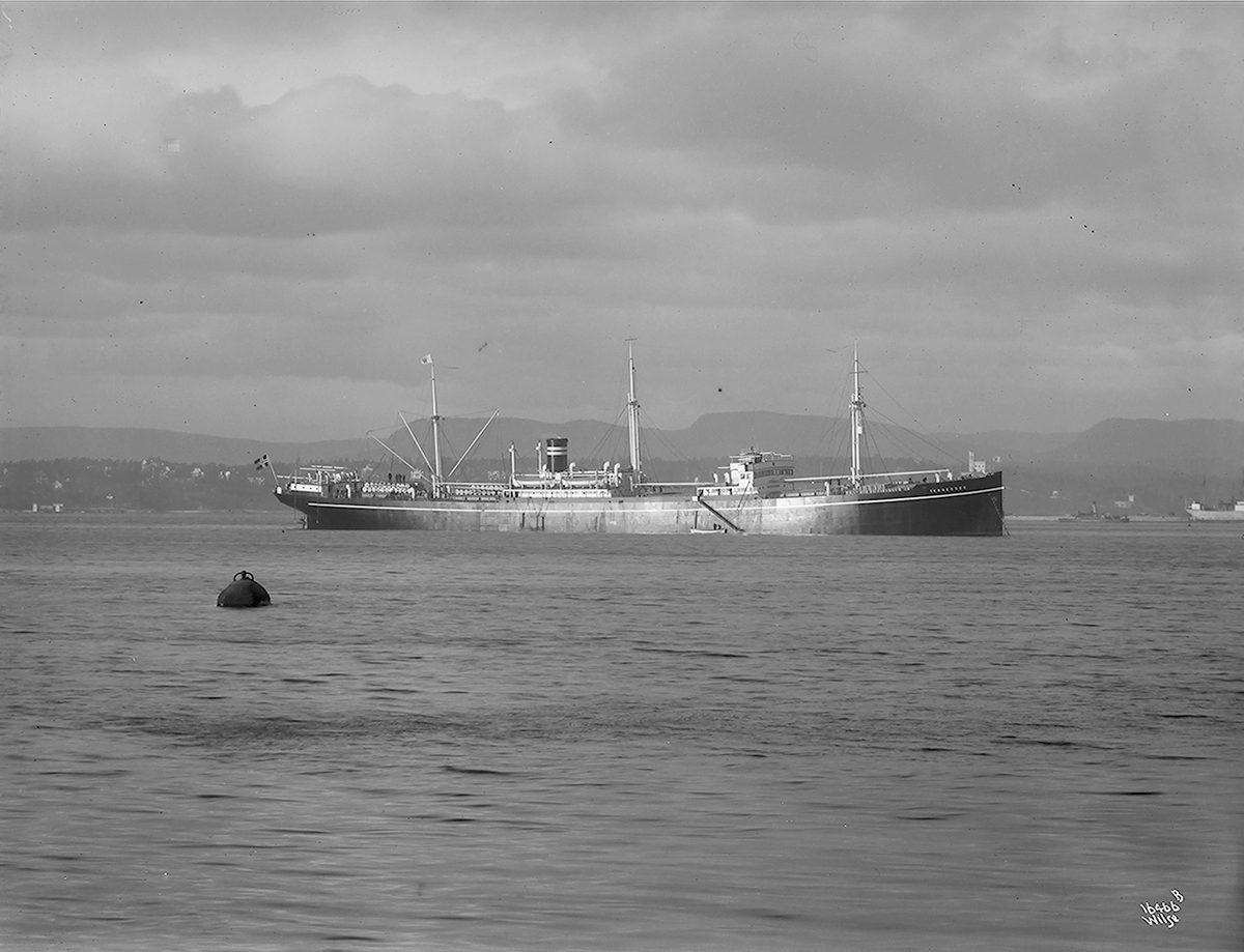 Anders Beer Wilse, Prot: Tennesee D.S. Wilhelmsen